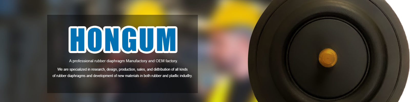 โซลินอยด์วาล์วไดอะแฟรม