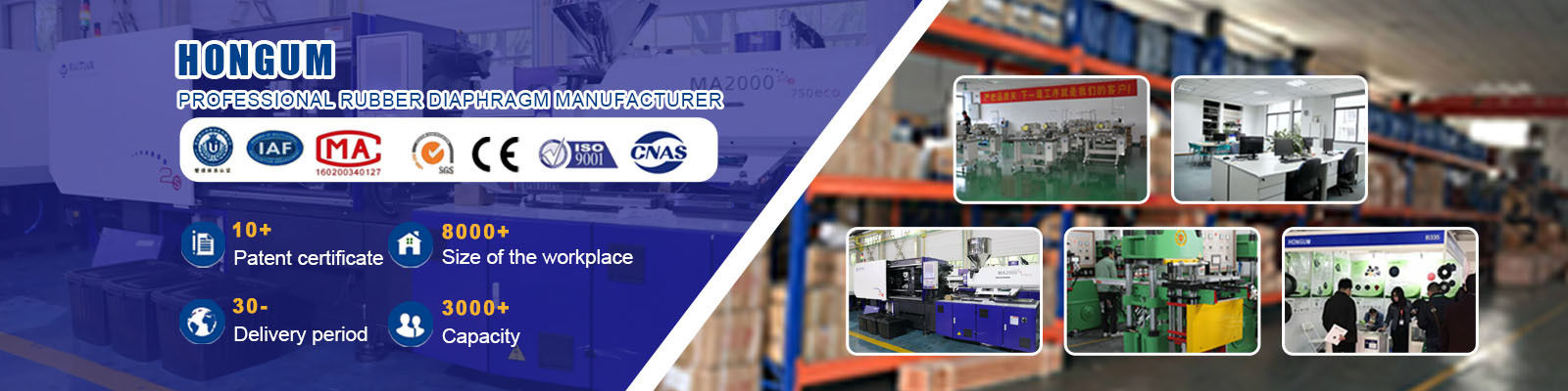 ไดอะแฟรมปั๊มสูบจ่าย