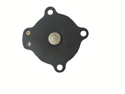 Temperature Control Made Simple with Black Solenoid Valve Diaphragm and Threaded Connection