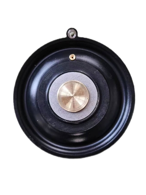 2 ทาง พนูเมติก Solenoid วาล์ว Diaphragm กับการทํางานอุณหภูมิสูง